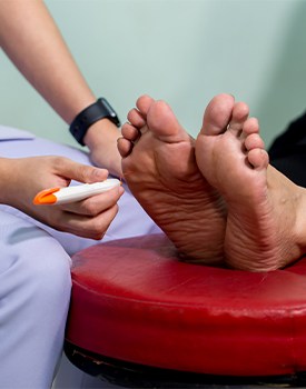 Motor & Sensory Integration